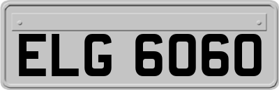 ELG6060
