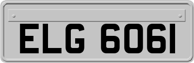 ELG6061