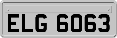 ELG6063