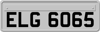 ELG6065