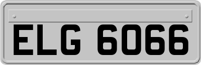 ELG6066
