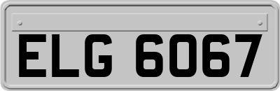 ELG6067