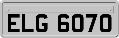 ELG6070