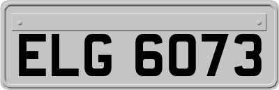 ELG6073