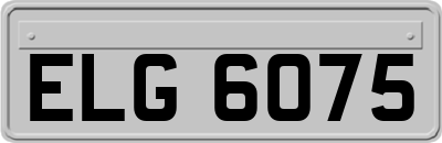 ELG6075