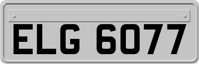 ELG6077