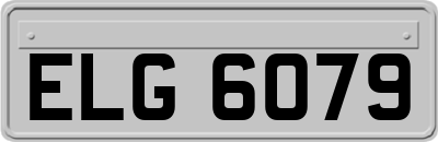 ELG6079