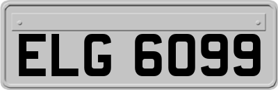 ELG6099