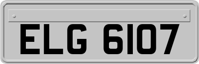 ELG6107