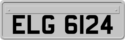 ELG6124