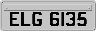 ELG6135