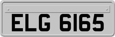 ELG6165