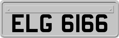ELG6166