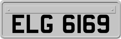 ELG6169