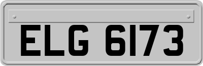 ELG6173