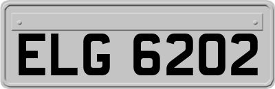 ELG6202