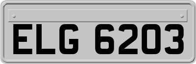 ELG6203