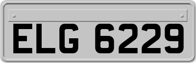 ELG6229