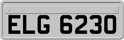 ELG6230