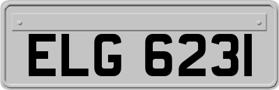 ELG6231