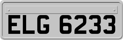 ELG6233