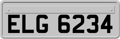 ELG6234