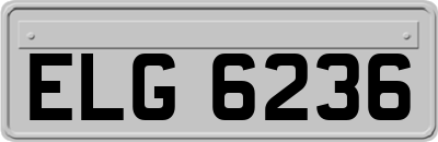 ELG6236