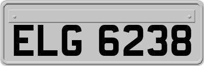 ELG6238