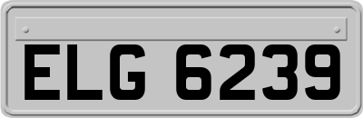 ELG6239