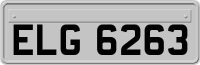 ELG6263
