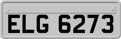 ELG6273