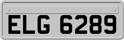 ELG6289