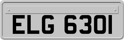 ELG6301