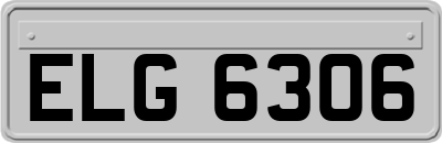 ELG6306
