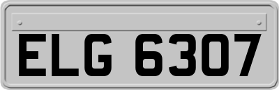 ELG6307