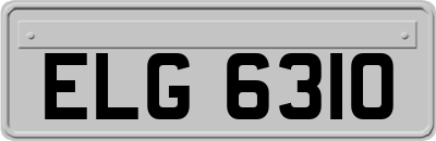 ELG6310