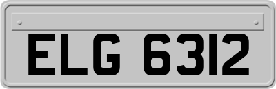 ELG6312