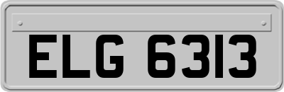 ELG6313