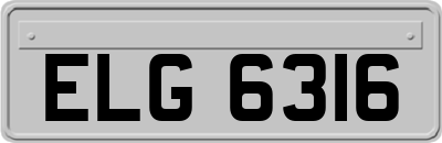 ELG6316