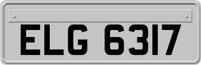 ELG6317