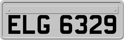 ELG6329
