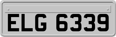 ELG6339