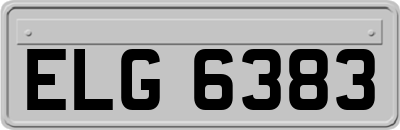 ELG6383