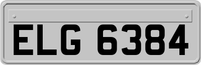 ELG6384