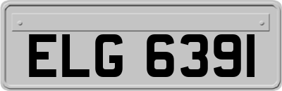 ELG6391