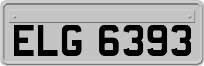 ELG6393