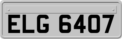 ELG6407