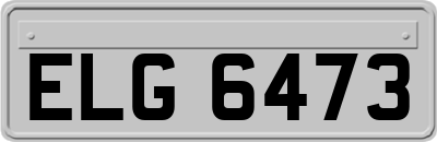 ELG6473