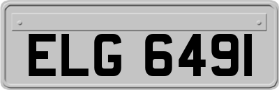 ELG6491