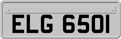 ELG6501